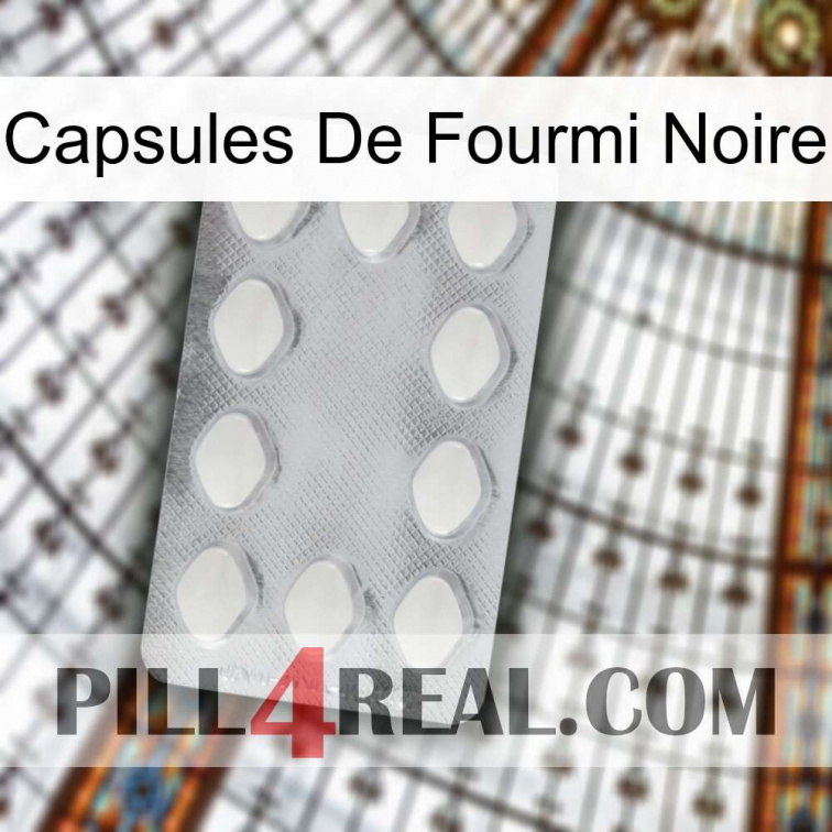 Black Ant Capsules 16